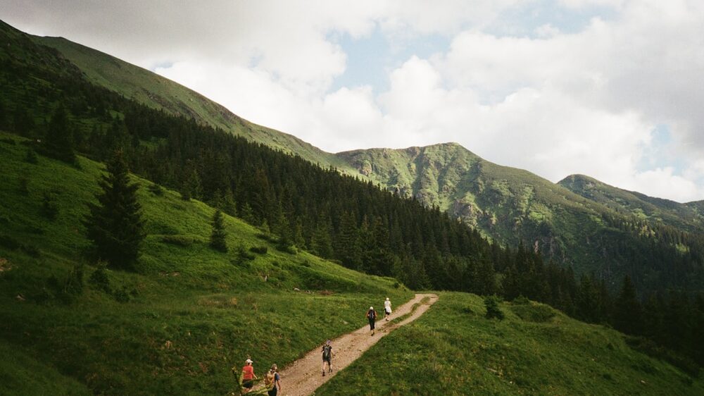 Hikers on a green summer trail &mdash; red light therapy for active recovery
